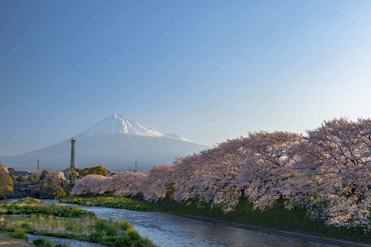 f:id:unagimikankun:20190427180330j:plain