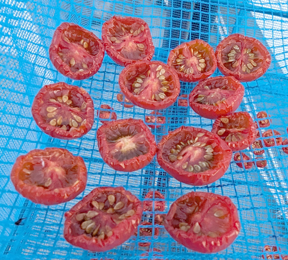 干し野菜
