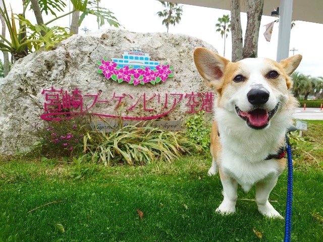 f:id:unanchu:20220407163856j:image f:id:unanchu:20220407163856j:image