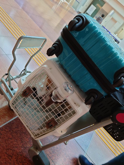 f:id:unanchu:20220407171834j:image f:id:unanchu:20220407171834j:image