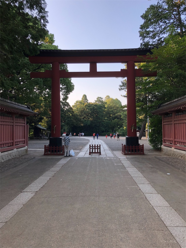 f:id:unapy:20180715234420j:image f:id:unapy:20180715234420j:image