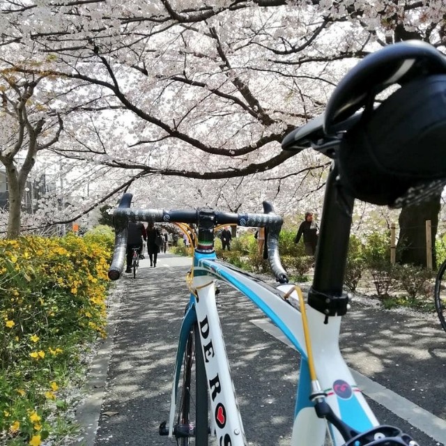 f:id:unarinkun:20190406205827j:image