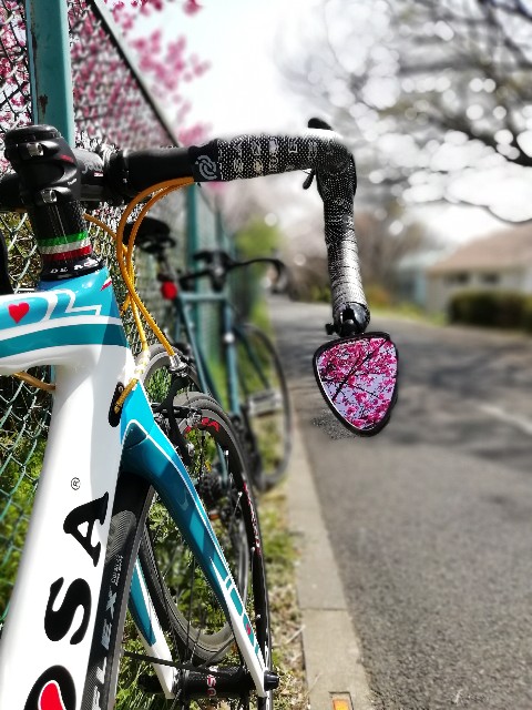 f:id:unarinkun:20190406210006j:image