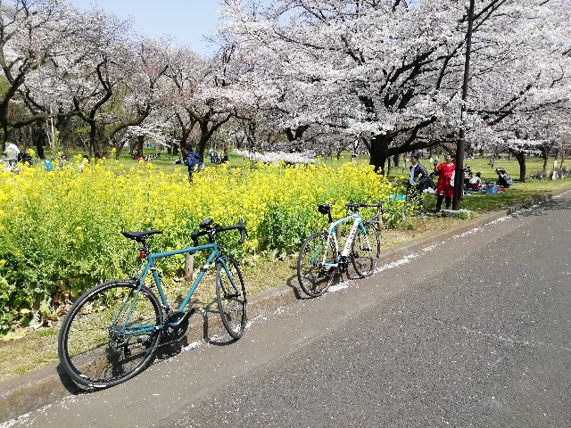 f:id:unarinkun:20190406210054j:image
