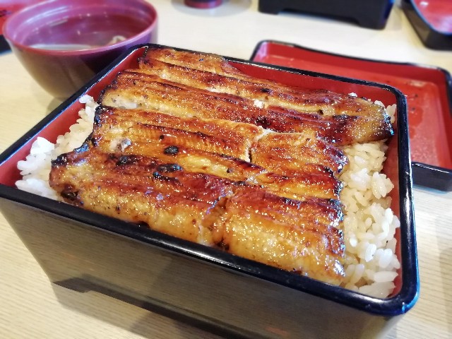 f:id:unarinkun:20190802211046j:image f:id:unarinkun:20190802211046j:image