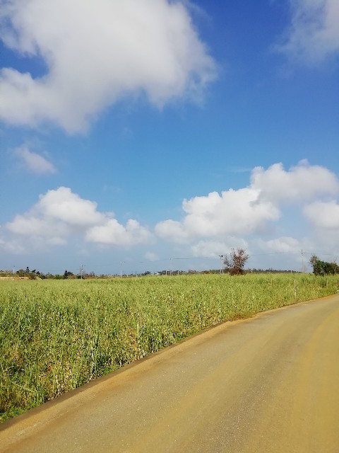 f:id:unarinkun:20190916190931j:image