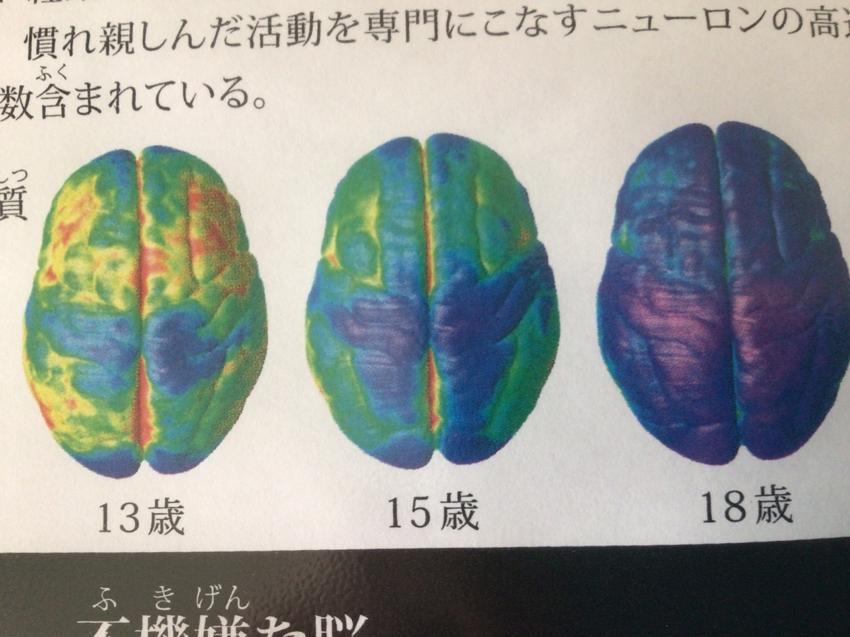 f:id:unchantotaro:20210201101706j:plain