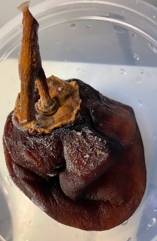 f:id:unchantotaro:20220102093449j:plain