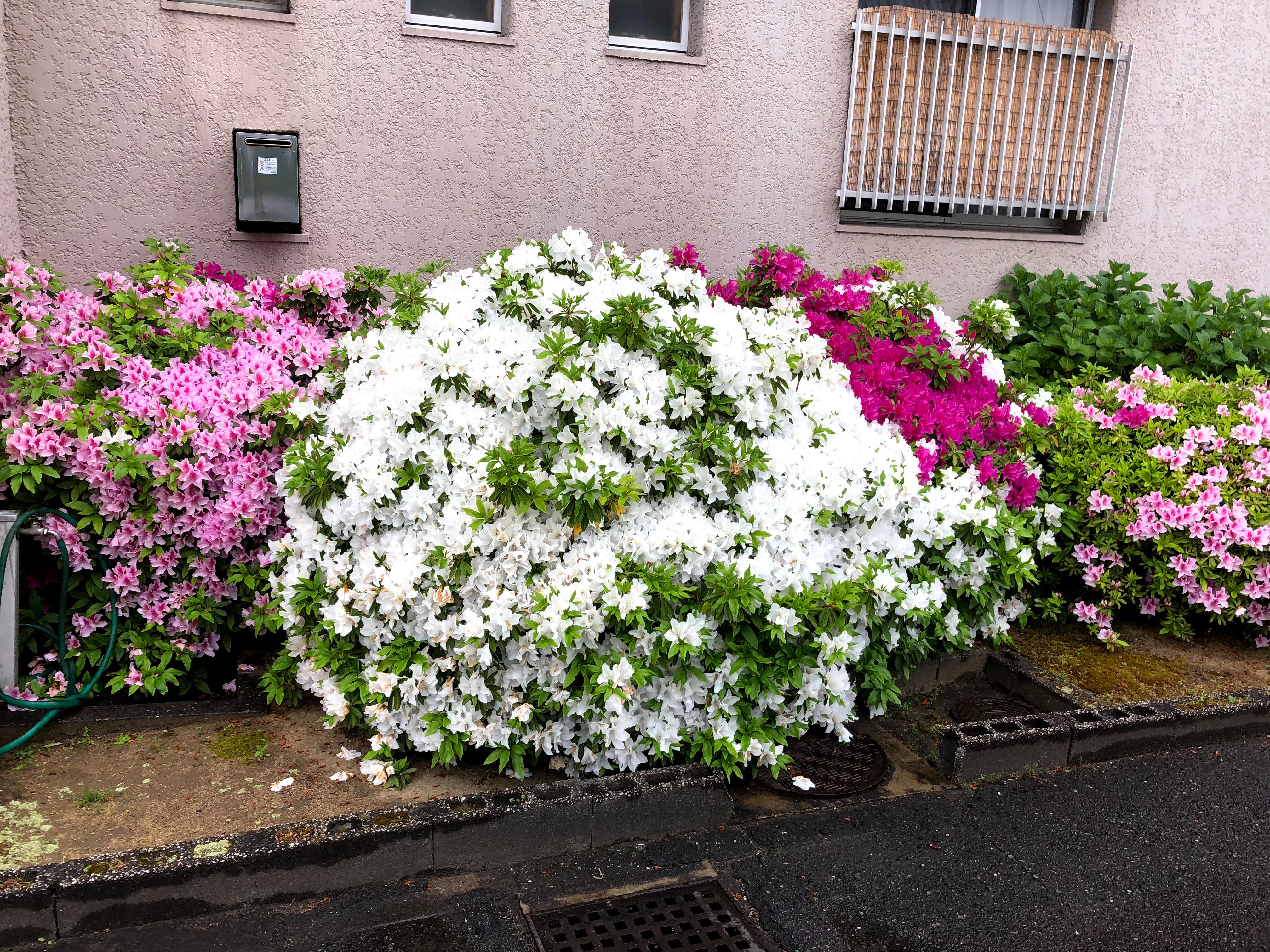 f:id:unchantotaro:20251225061742j:image