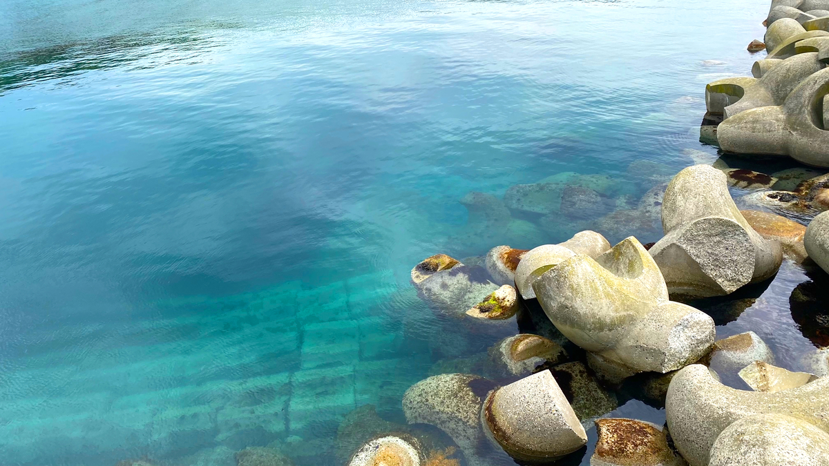 f:id:uncle_cat:20210517094702j:plain