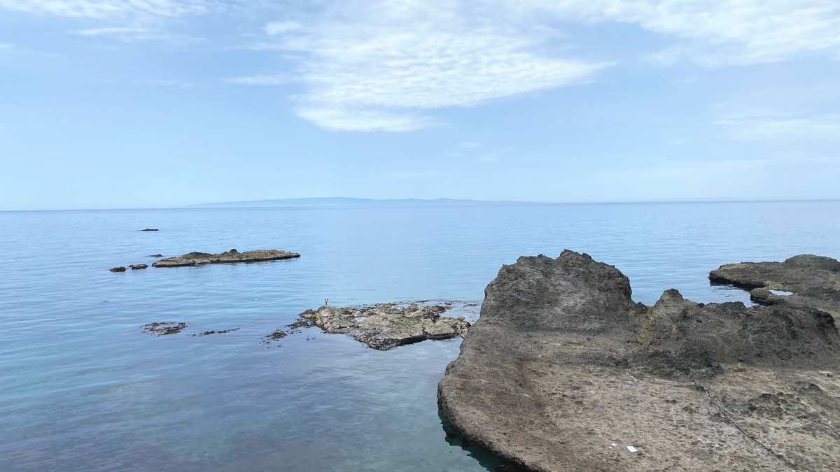 f:id:uncle_cat:20210517100323j:plain