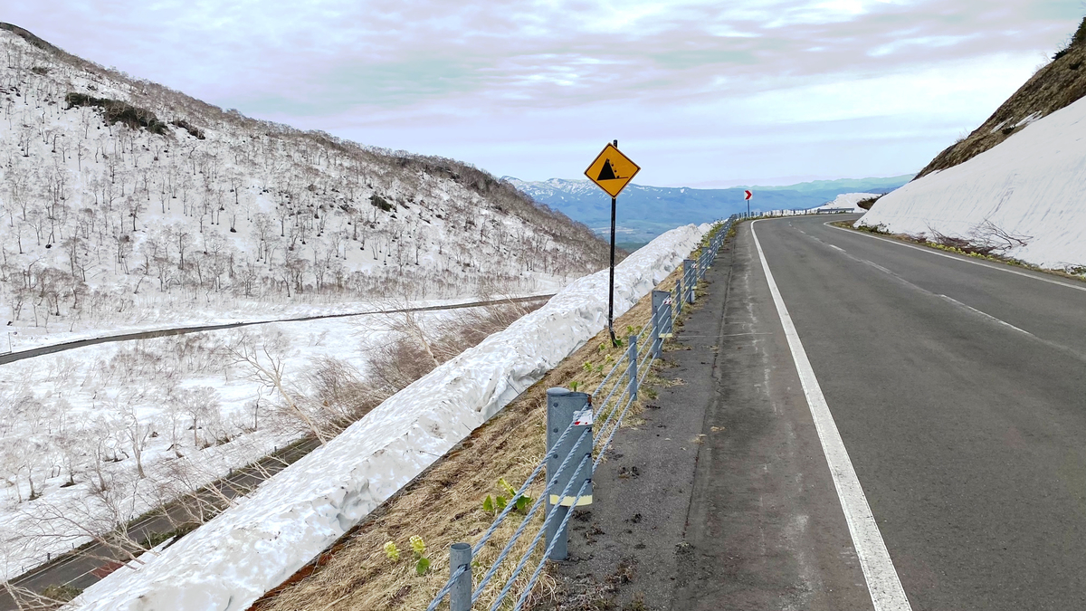 f:id:uncle_cat:20210517103148j:plain