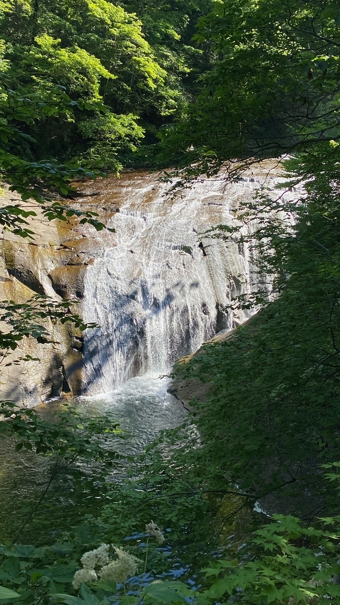 f:id:uncle_cat:20210715160905j:plain