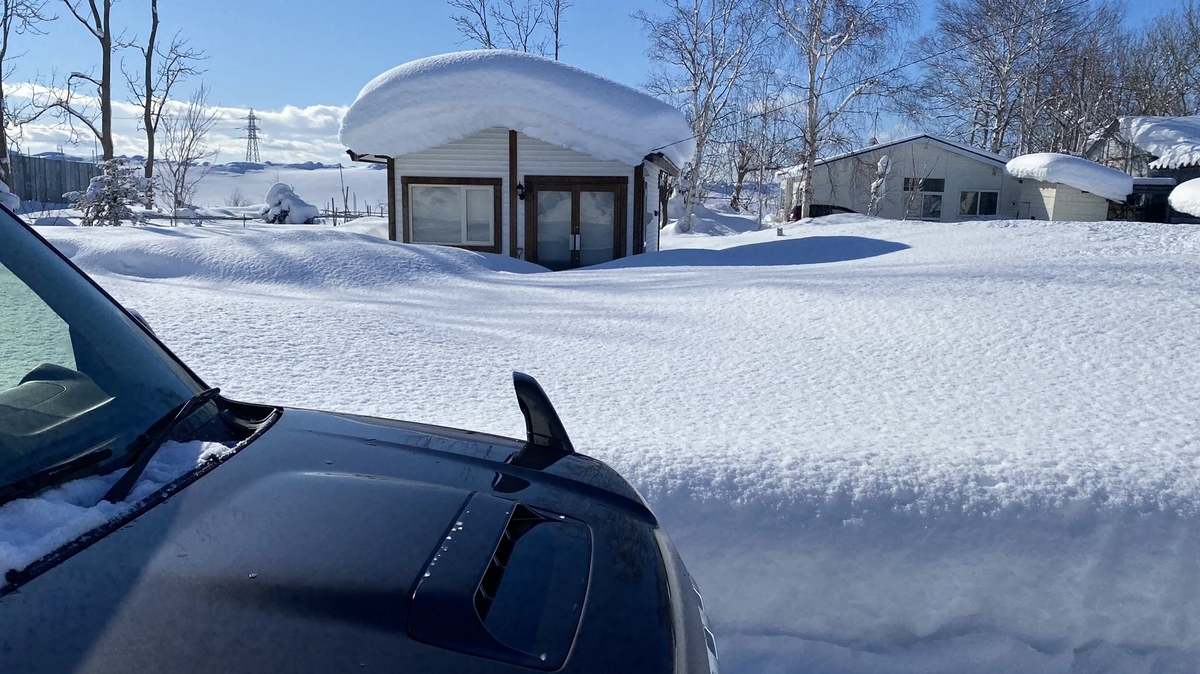 f:id:uncle_cat:20220411123957j:plain