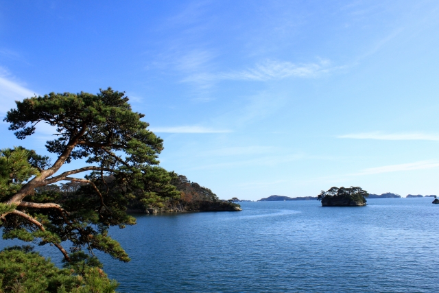 f:id:under-mogura:20180216033916j:plain f:id:under-mogura:20180216033916j:plain