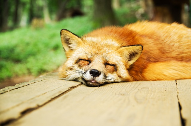 f:id:under-mogura:20190509192432j:plain f:id:under-mogura:20190509192432j:plain