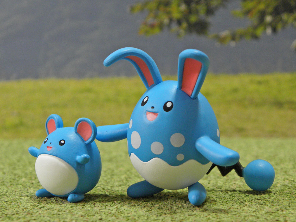 ポケモンマリルとマリルリ - 風景・ねんどろフォト