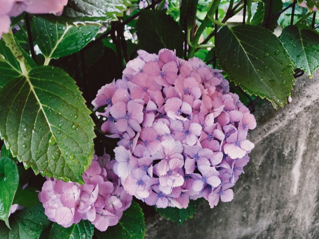 f:id:under_water:20180612022826j:plain f:id:under_water:20180612022826j:plain