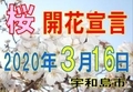 https://www.city.uwajima.ehime.jp/uploaded/image/16424.jpg