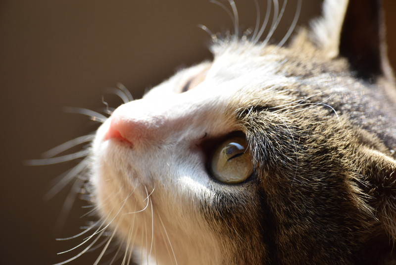 f:id:understandLove:20160622080728j:plain