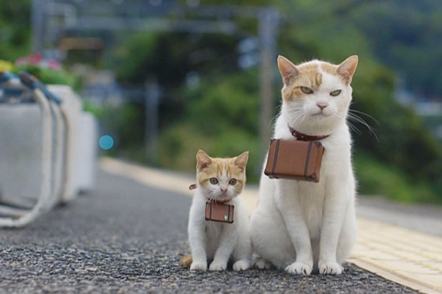 f:id:understandLove:20160623073502j:plain f:id:understandLove:20160623073502j:plain