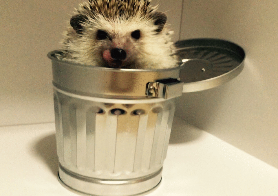 f:id:understandLove:20160704085817g:plain f:id:understandLove:20160704085817g:plain