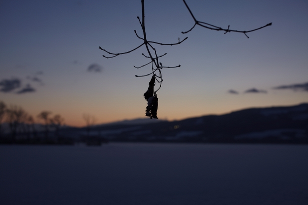 f:id:understandLove:20160816120529j:plain