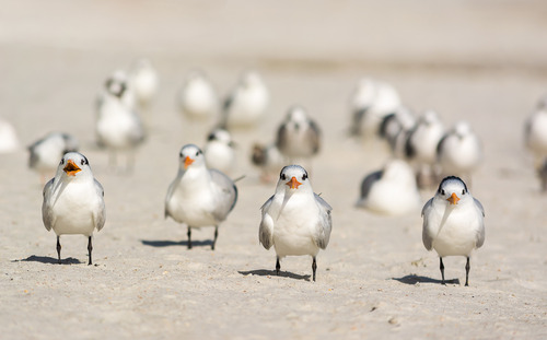 f:id:understandLove:20160825093956j:plain