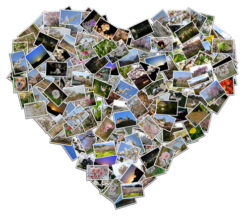 f:id:understandLove:20160825094530j:plain