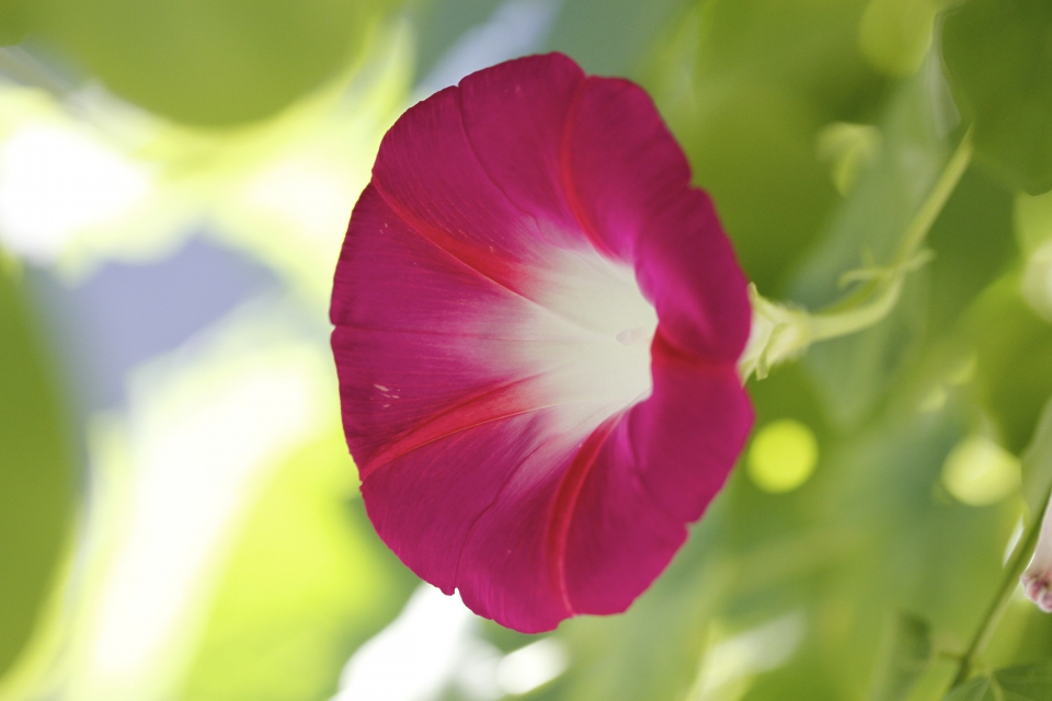 f:id:understandLove:20160825095824j:plain