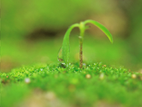 f:id:understandLove:20160827165305j:plain