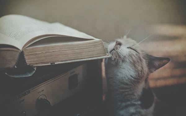 あなたの人生はもっと良くなる 読むだけで心がラクになる22の言葉 猫のメメとモエ あなたの人生はもっと良くなる 読むだけで心がラクになる22の言葉 猫のメメとモエ