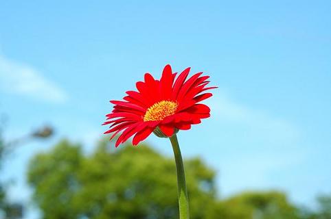 f:id:understandLove:20170204212542j:plain