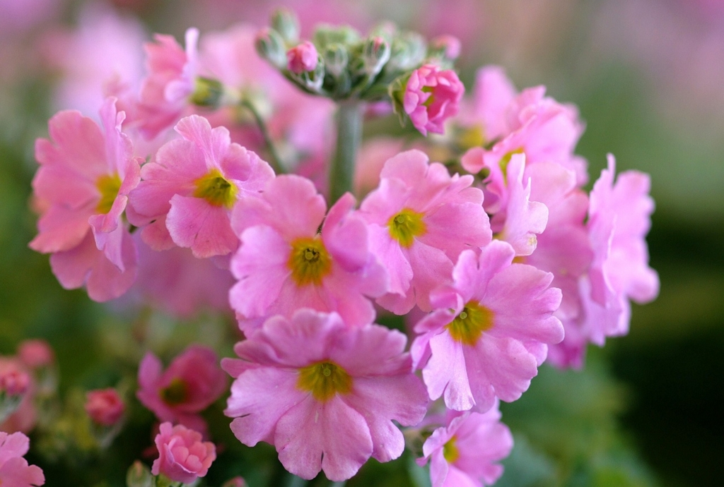 f:id:understandLove:20170318120142j:plain