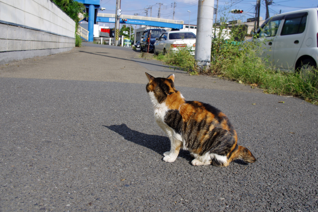 f:id:understandLove:20170513081525j:plain f:id:understandLove:20170513081525j:plain