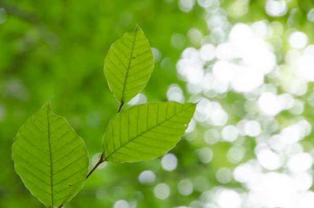 f:id:understandLove:20170513144838j:plain