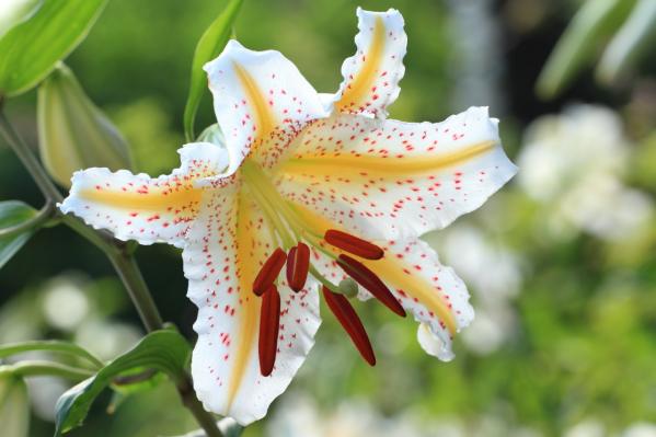 f:id:understandLove:20170820103733j:plain f:id:understandLove:20170820103733j:plain