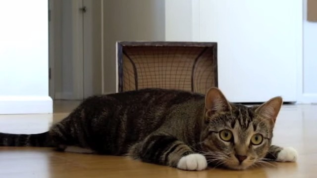 f:id:understandLove:20180125184918j:plain f:id:understandLove:20180125184918j:plain