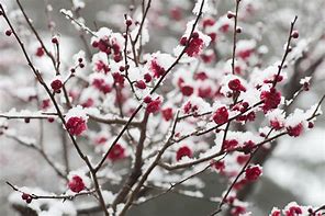 f:id:understandLove:20180203124441j:plain f:id:understandLove:20180203124441j:plain