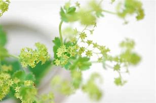 f:id:understandLove:20180609071722p:plain