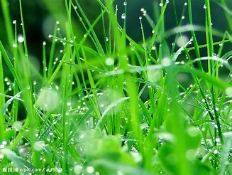 f:id:understandLove:20180617092823j:plain f:id:understandLove:20180617092823j:plain