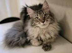 f:id:understandLove:20180901094518p:plain f:id:understandLove:20180901094518p:plain