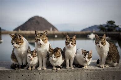 f:id:understandLove:20190216175217j:plain