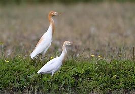 f:id:understandLove:20190519073441j:plain