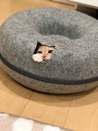 f:id:understandLove:20210807175506j:plain