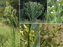 f:id:understandLove:20210810142454j:plain