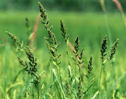 f:id:understandLove:20210810142721j:plain