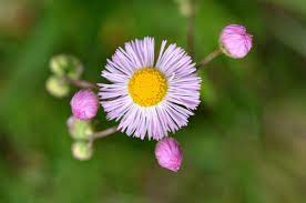 f:id:understandLove:20210810151035j:plain