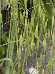 f:id:understandLove:20210810153958j:plain