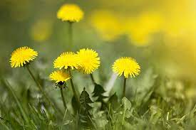 f:id:understandLove:20210810155143j:plain